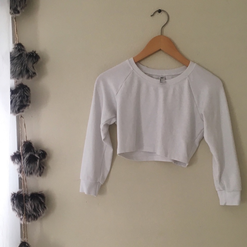 American Apparel Ponte Long Sleeve Crop Raglan